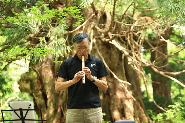 樹木の専門家と共に、神秘の大自然を探る－原生林と杉巨木群トレッキング特別ツアー